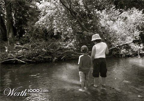 Photography by glacierpro