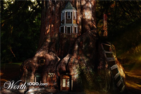 Photoshop Design by Origin