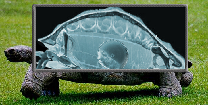 Photoshop Design by riddle for DesignCrowd (Community Contests) | Design #8947561