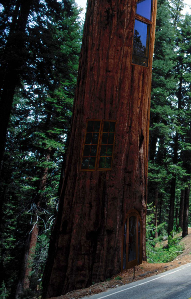 Photoshop Design by nlongfx for DesignCrowd (Community Contests) | Design #8954932