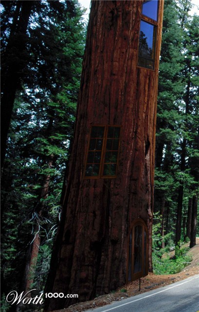 Photoshop Design by nlongfx