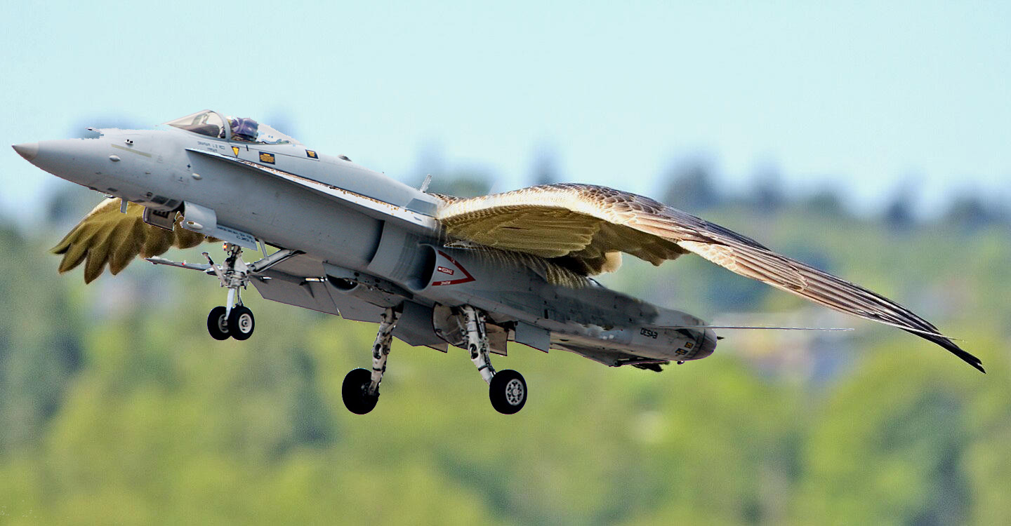 Photoshop Design by nlongfx for DesignCrowd (Community Contests) | Design #8954585