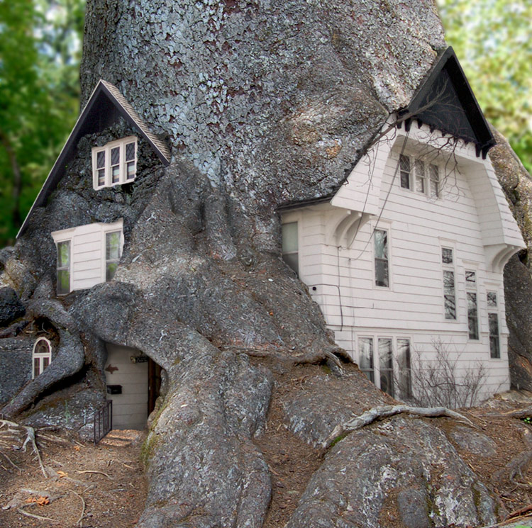 Photoshop-Design von sugarcane für DesignCrowd (Community Contests) | Design #8954957