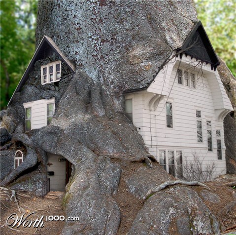 Photoshop Design by sugarcane