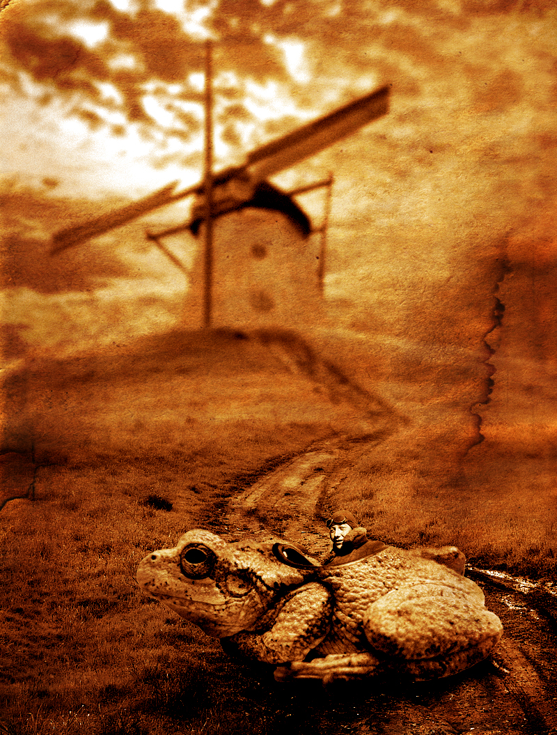 Photoshop Design by andregomes for DesignCrowd (Community Contests) | Design #8954556