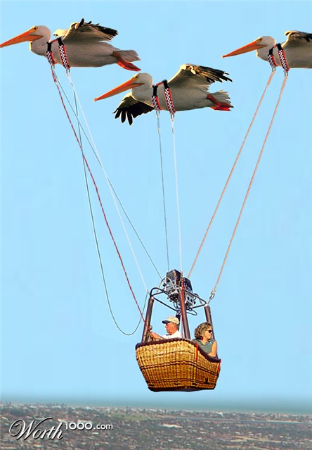 Photoshop Design by stormr