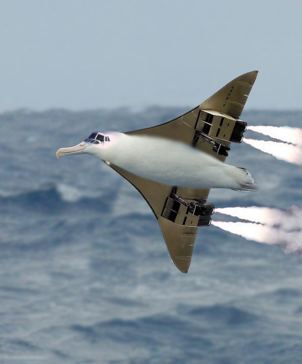 Photoshop Design by SubzeroFusion for DesignCrowd (Community Contests) | Design #8954566