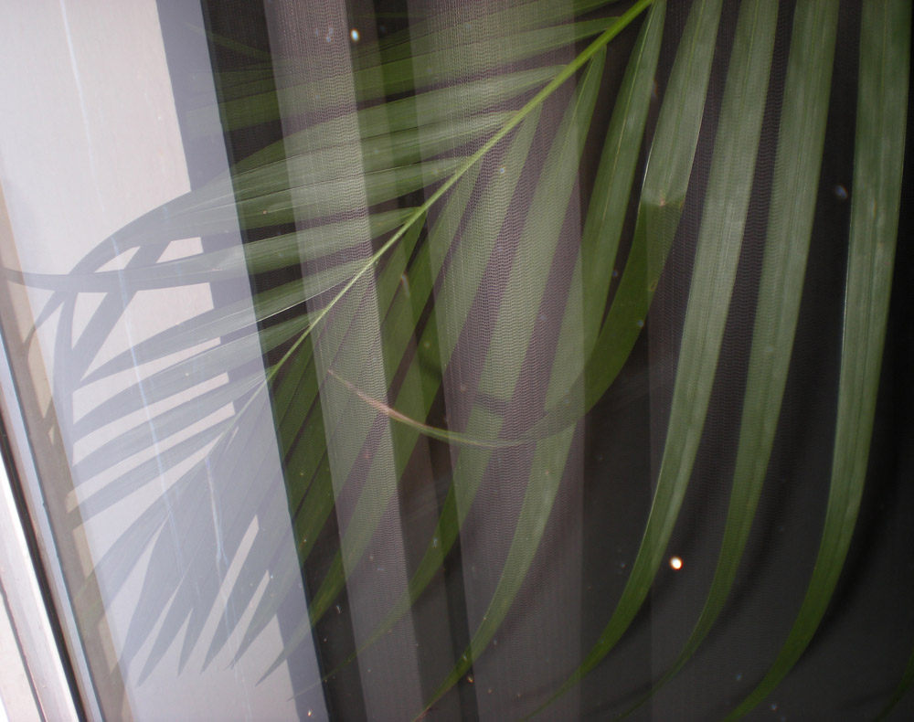 Fotografía por TRANSCENDENTalMAN para DesignCrowd (Community Contests) | Diseño #8949669