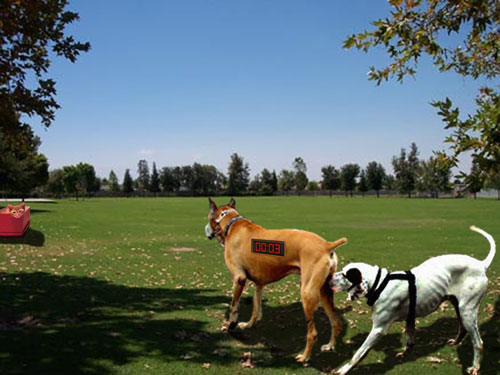 Photoshop Design by hitchhiker123 for DesignCrowd (Community Contests) | Design #8948316