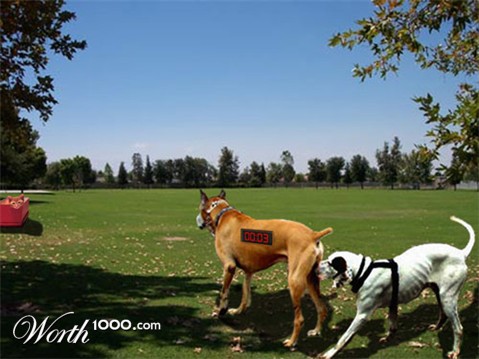 Photoshop Design by hitchhiker123