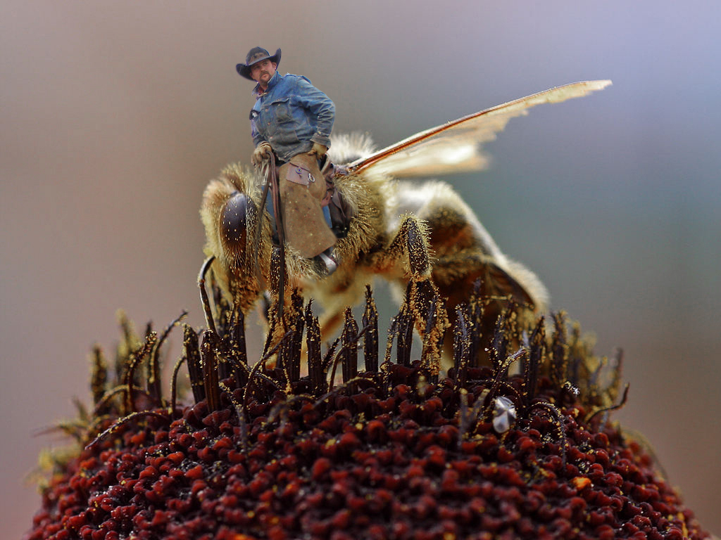 Diseño de Photoshop por CapnHank para DesignCrowd (Community Contests) | Diseño #8954658