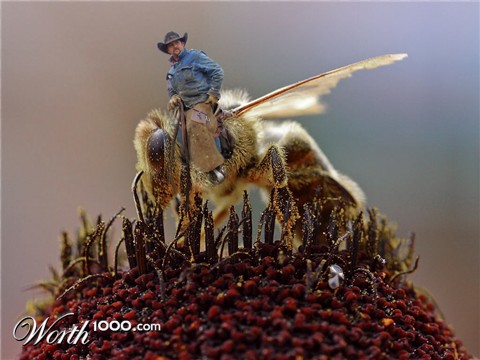 Photoshop Design by CapnHank