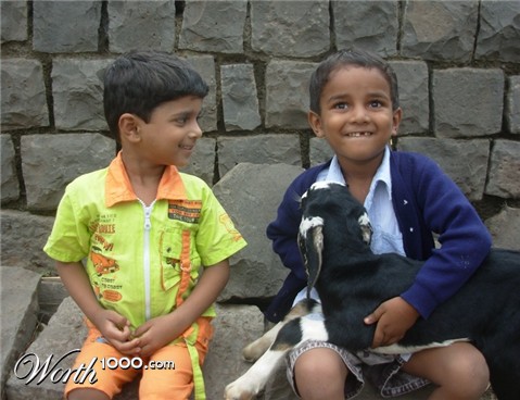 Photography by kalparesh