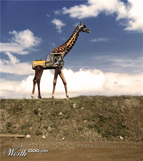 Photoshop Design by sssdesigner