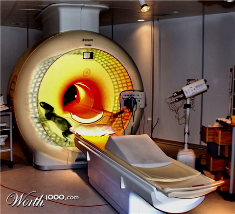 Photoshop Design by philgtaylor