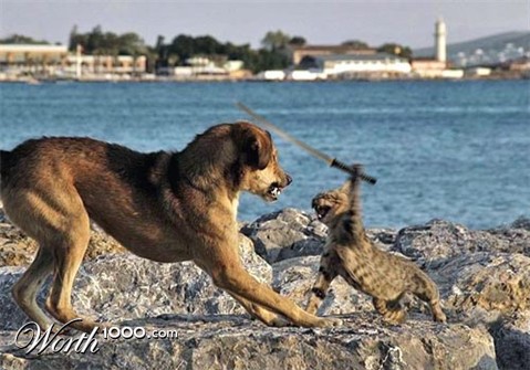 Photoshop design by nlongfx for DesignCrowd (Community Contests)