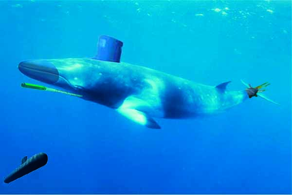 Diseño de Photoshop por krystle508 para DesignCrowd (Community Contests) | Diseño #8954646