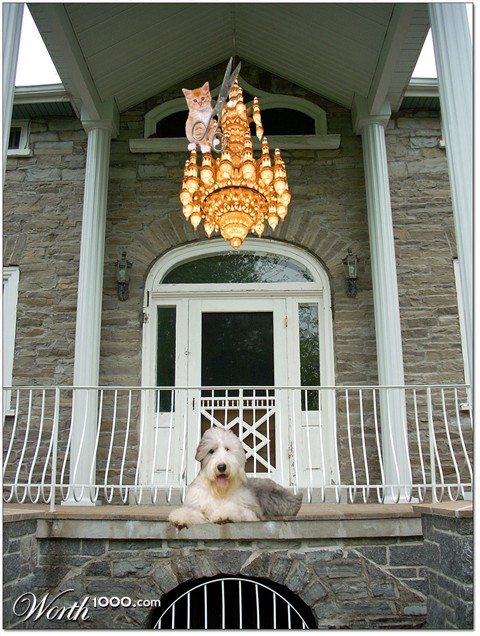 Photoshop Design by DrRobot