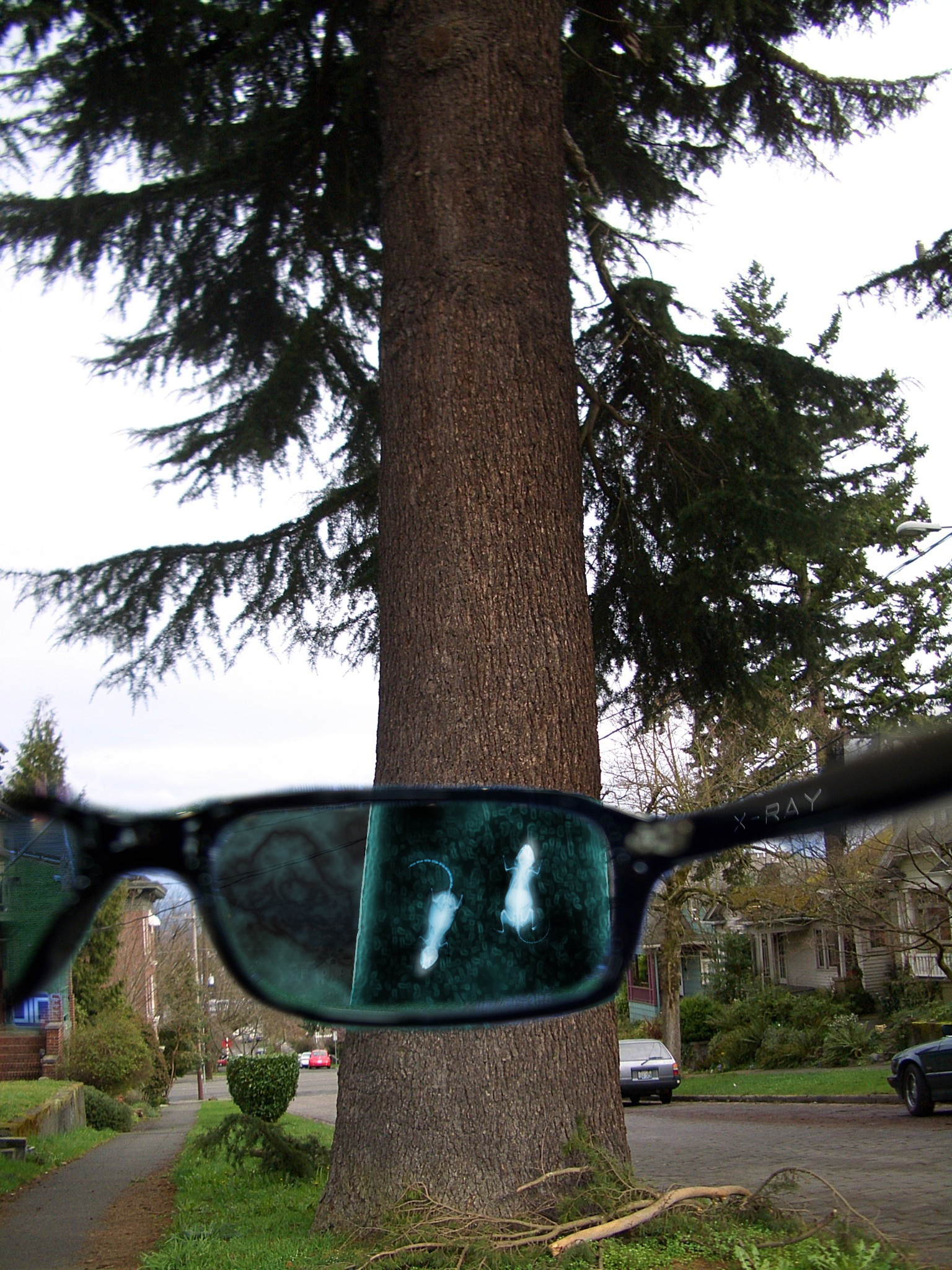 Photoshop Design by puzopia for DesignCrowd (Community Contests) | Design #8947551