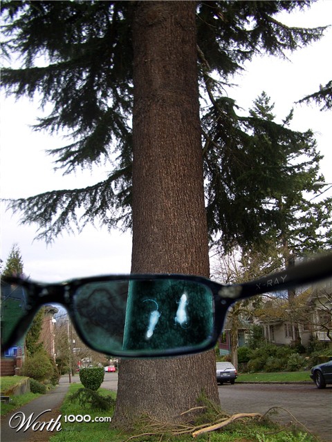 Photoshop Design by puzopia