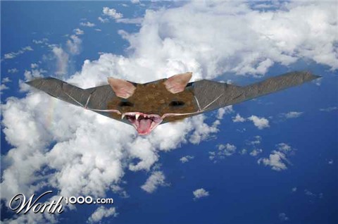 Photoshop Design by Torrel30