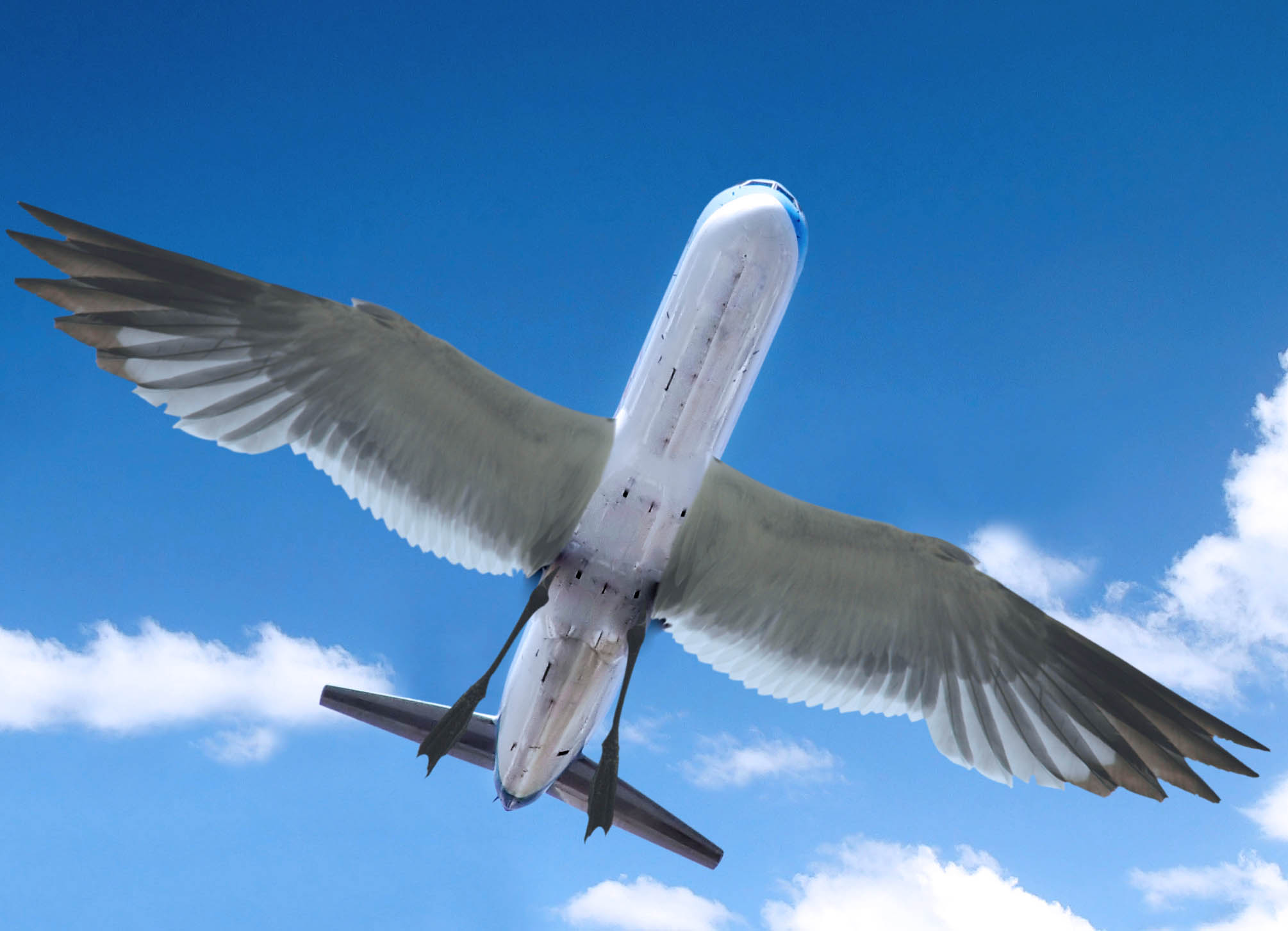 Photoshop Design by LazyLou2 for DesignCrowd (Community Contests) | Design #8954730