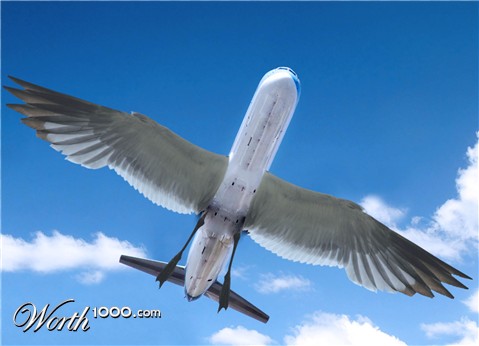 Photoshop Design by LazyLou2