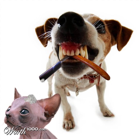 Photoshop Design by Vliegtuig