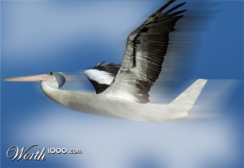 Photoshop Design by BenjaminSimon