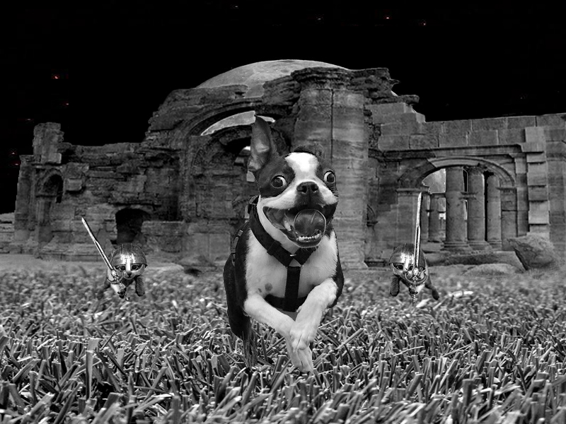 Photoshop Design by Quidebie for DesignCrowd (Community Contests) | Design #8948378