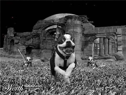 Photoshop Design by Quidebie