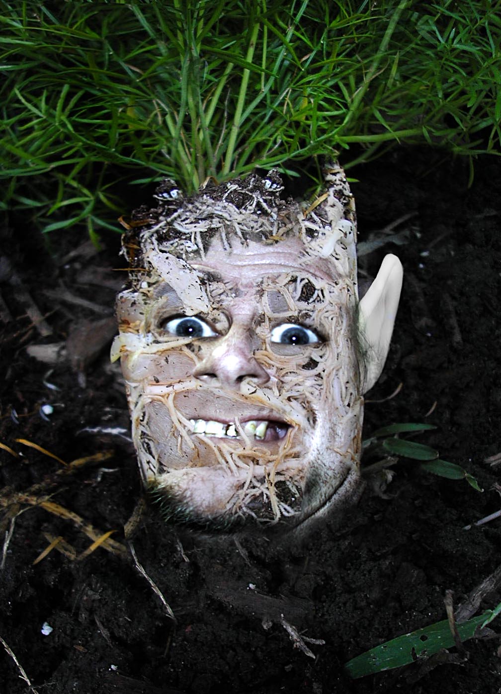 Photoshop Design by urnmns for DesignCrowd (Community Contests) | Design #8948321