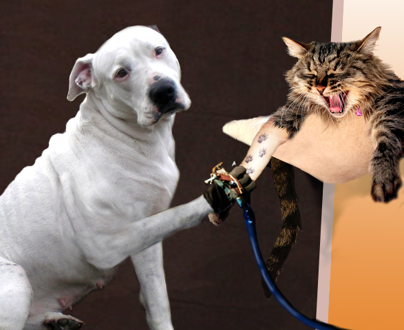 Design Photoshop par stormr pour DesignCrowd (Community Contests) | Design #8948384