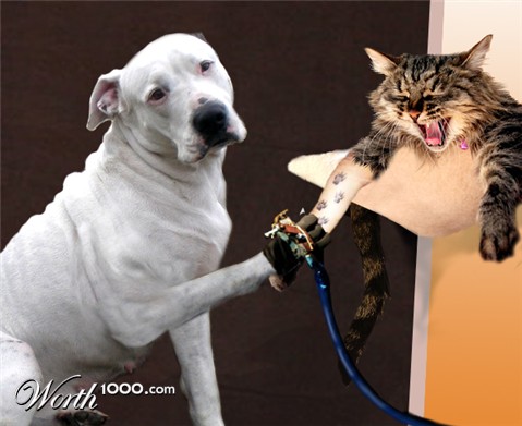 Photoshop Design by stormr