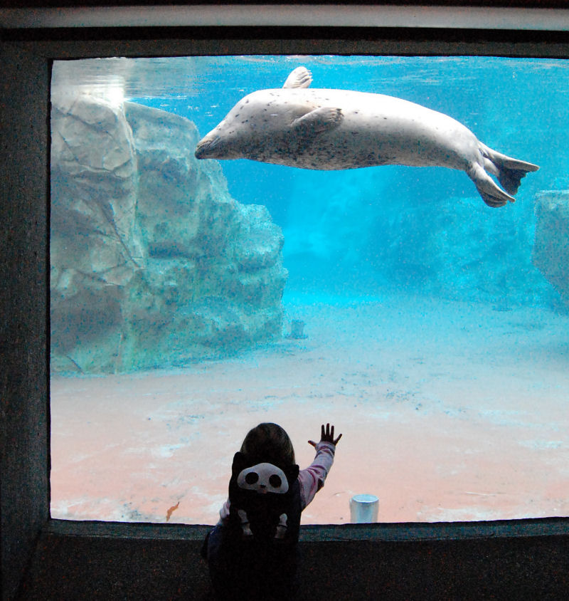 Fotografie von ka9dgx für DesignCrowd (Community Contests) | Design #8953718