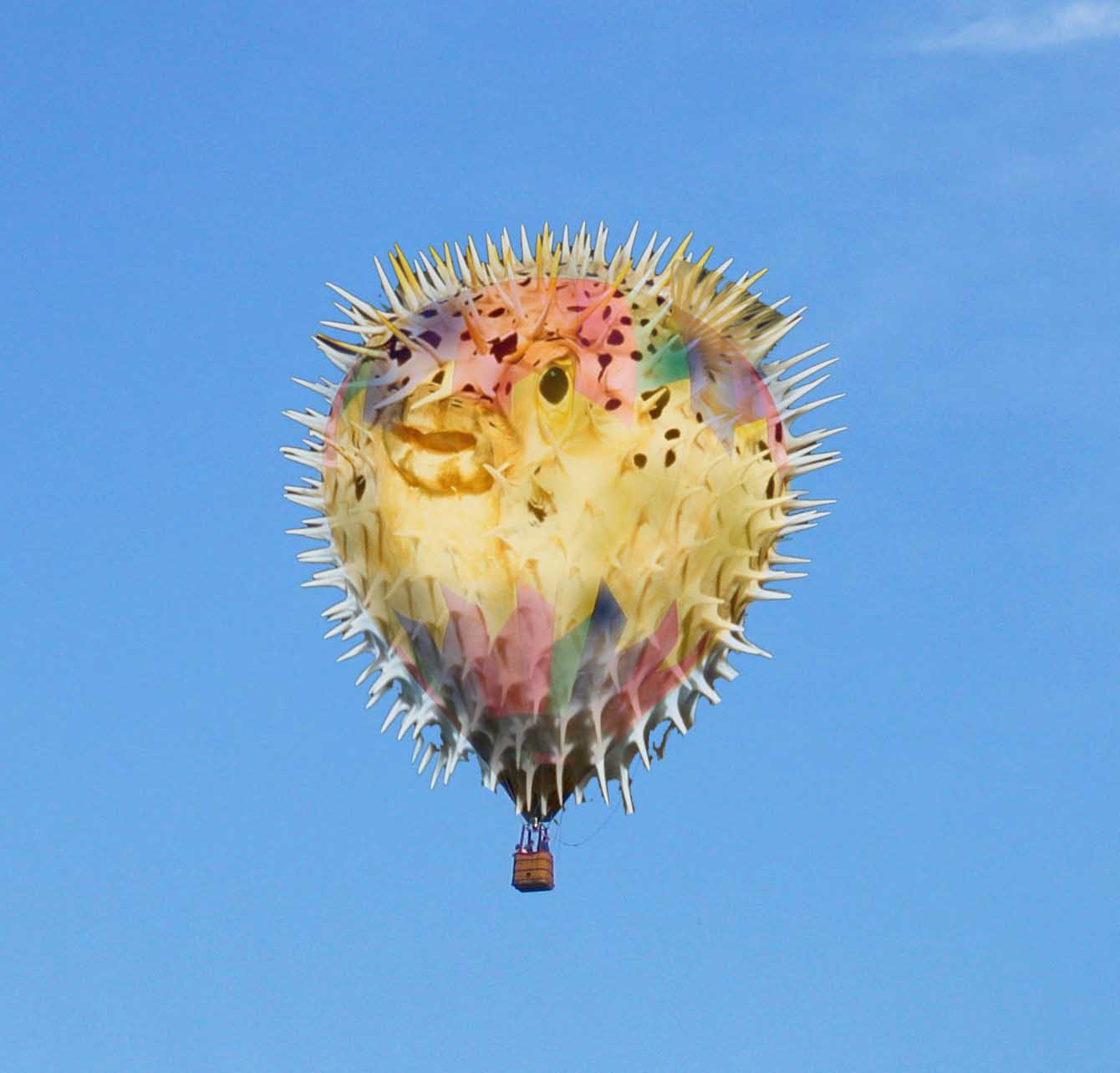 Photoshop Design by jesseb306 for DesignCrowd (Community Contests) | Design #8954676