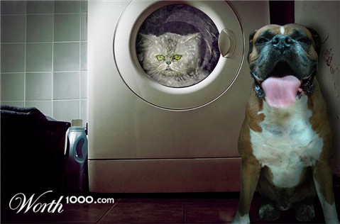 Photoshop Design by psych0tina