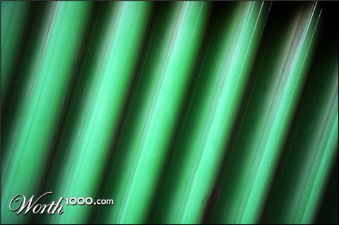 Photography by MrNelson