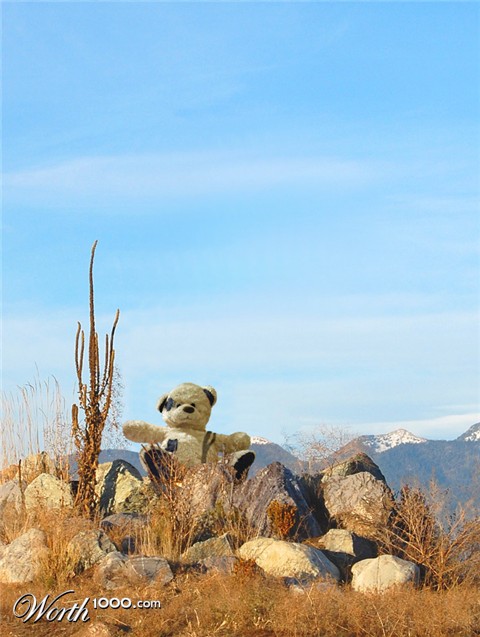 Photoshop Design by TommeC