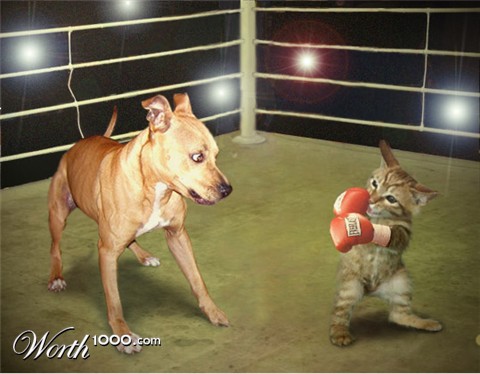 Photoshop Design by whranger97