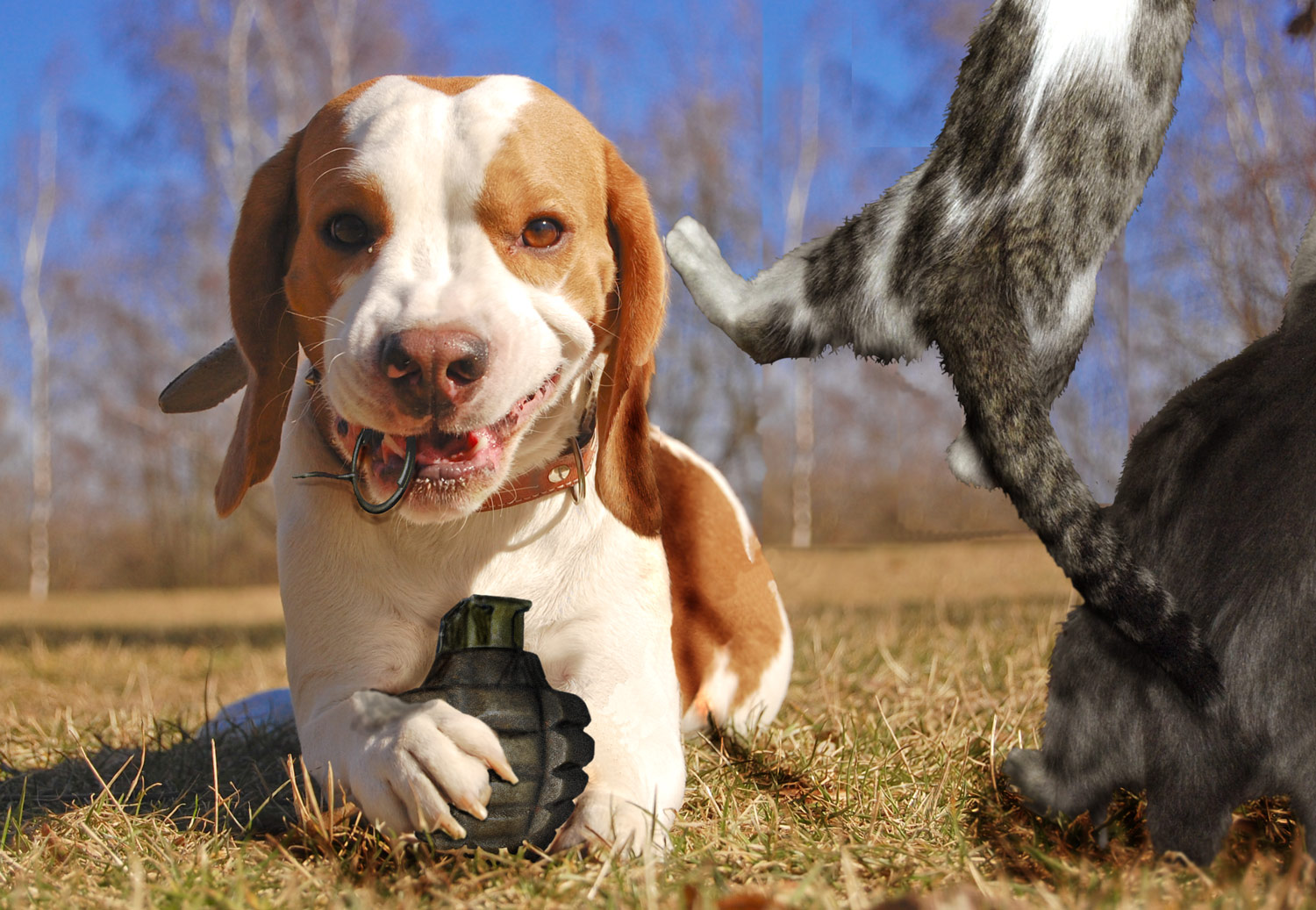 Photoshop Design by exposed for DesignCrowd (Community Contests) | Design #8948366