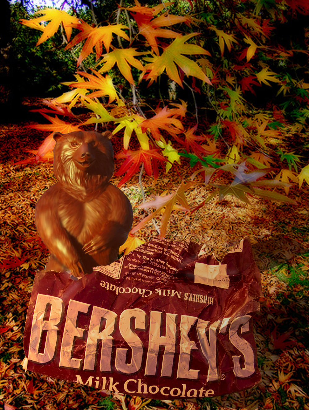 Design Photoshop par stormr pour DesignCrowd (Community Contests) | Design #8951052