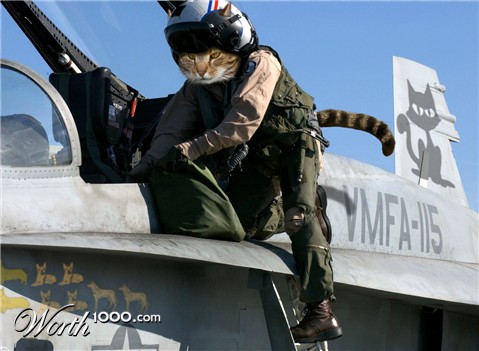 Photoshop Design by cmumiddle