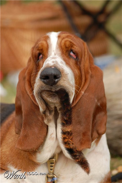 Photoshop Design by aleluja