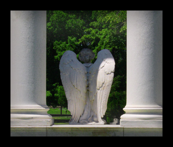 Photography by 4giv3n1 for DesignCrowd (Community Contests) | Design #8944902