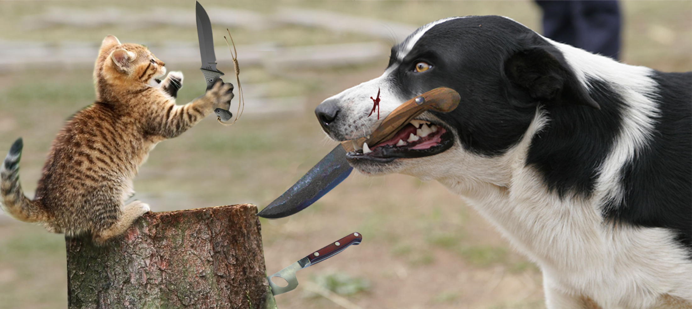 Photoshop-Design von PixelTestMT für DesignCrowd (Community Contests) | Design #8948429