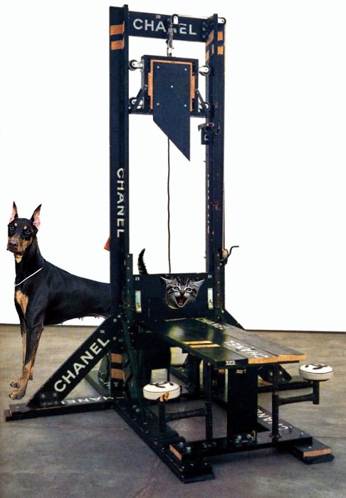 Design Photoshop par dinosaur pour DesignCrowd (Community Contests) | Design #8948413