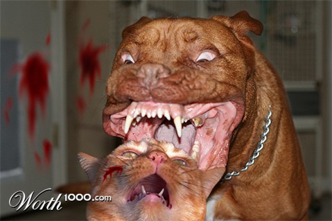 Photoshop Design by CanYouKickIt