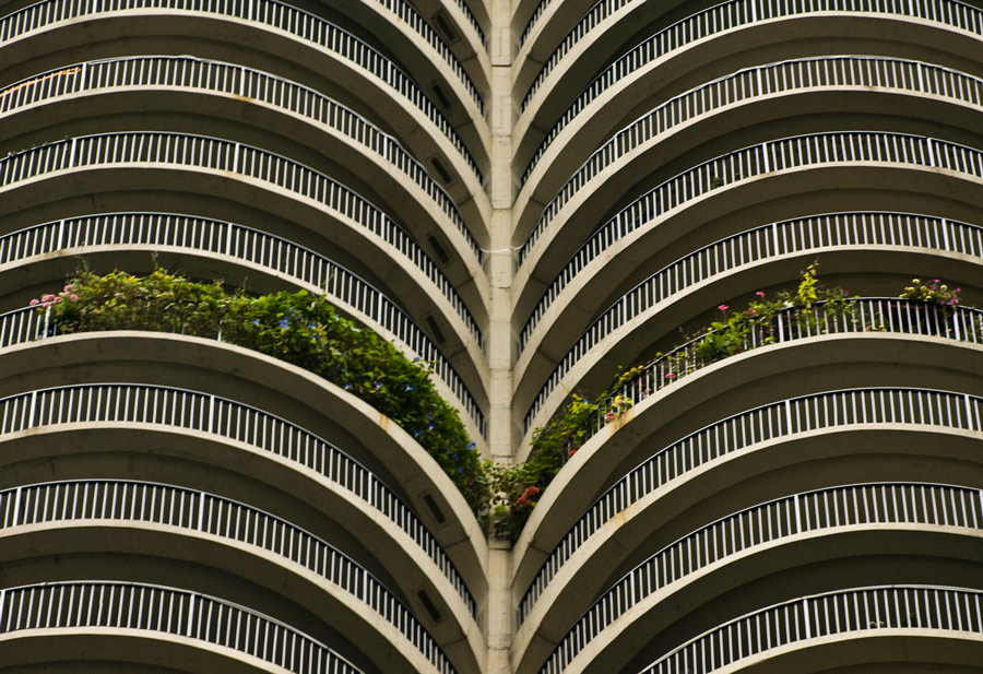 Fotografie von Snakeyesman für DesignCrowd (Community Contests) | Design #8945401