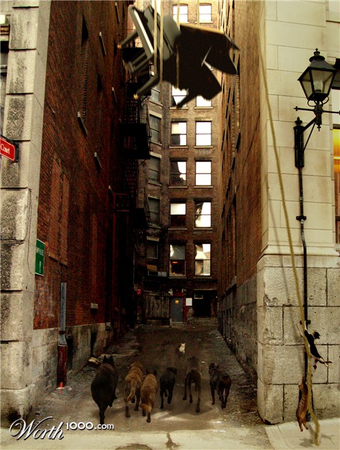 Photoshop Design by Ringozo